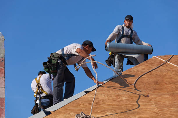 Best Storm Damage Roof Repair  in Dunlap, IA