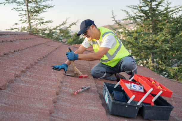 Best Commercial Roofing Services  in Dunlap, IA