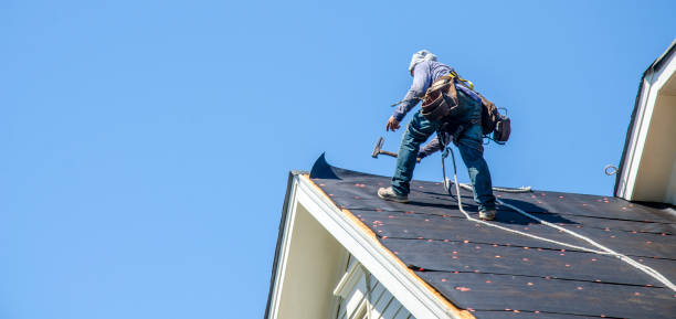 Best Roof Waterproofing Services  in Dunlap, IA